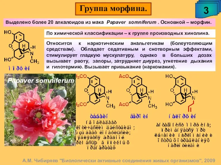 Группа морфина. 3 А.М. Чибиряев "Биологически активные соединения живых организмов", 2009 Относится