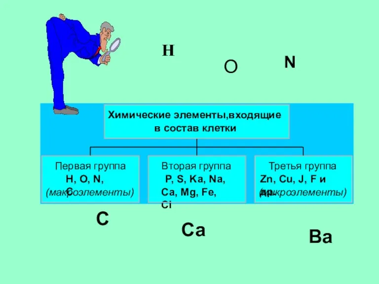 H N O C Са Ва