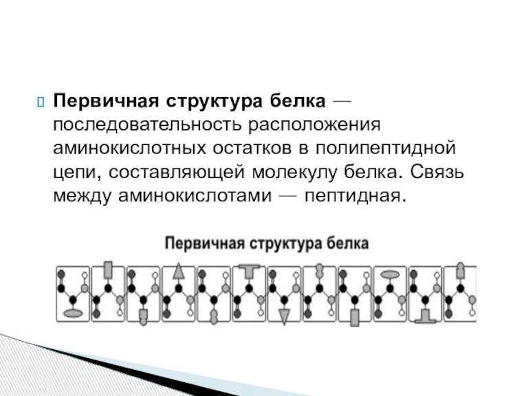 Первичная структура белка — последовательность расположения аминокислотных остатков в полипептидной цепи, составляющей