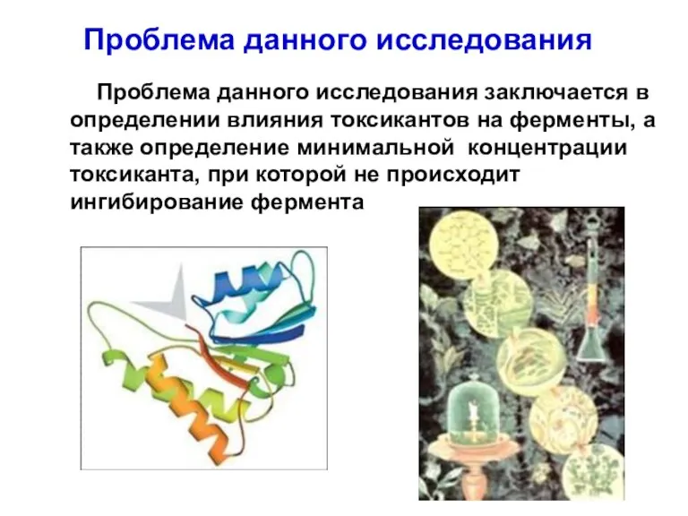 Проблема данного исследования Проблема данного исследования заключается в определении влияния токсикантов на