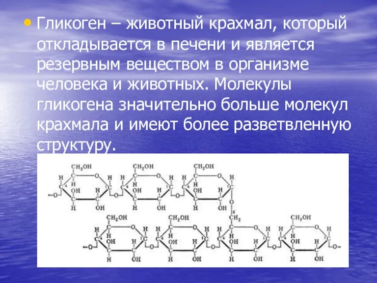 Гликоген – животный крахмал, который откладывается в печени и является резервным веществом