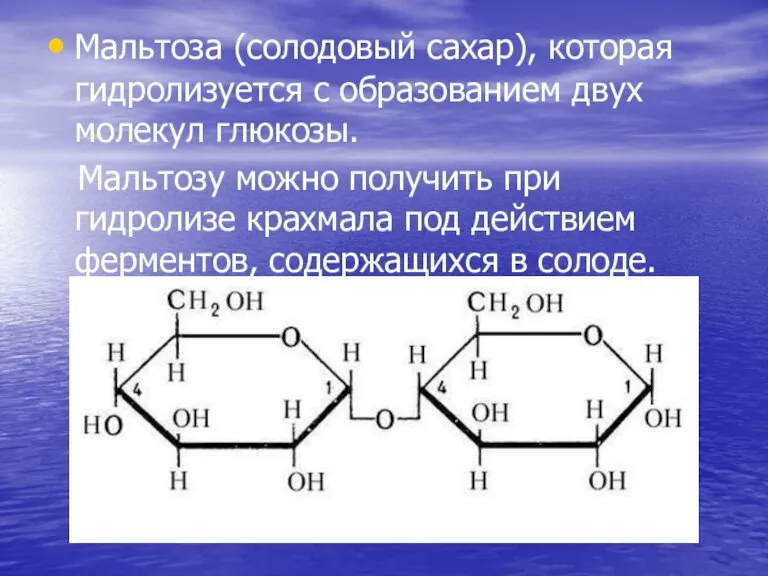 Мальтоза (солодовый сахар), которая гидролизуется с образованием двух молекул глюкозы. Мальтозу можно