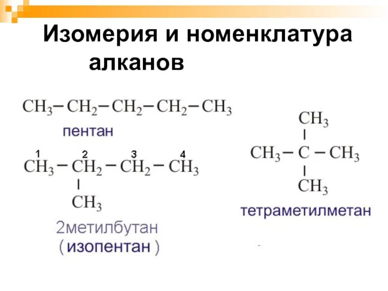 Изомерия и номенклатура алканов