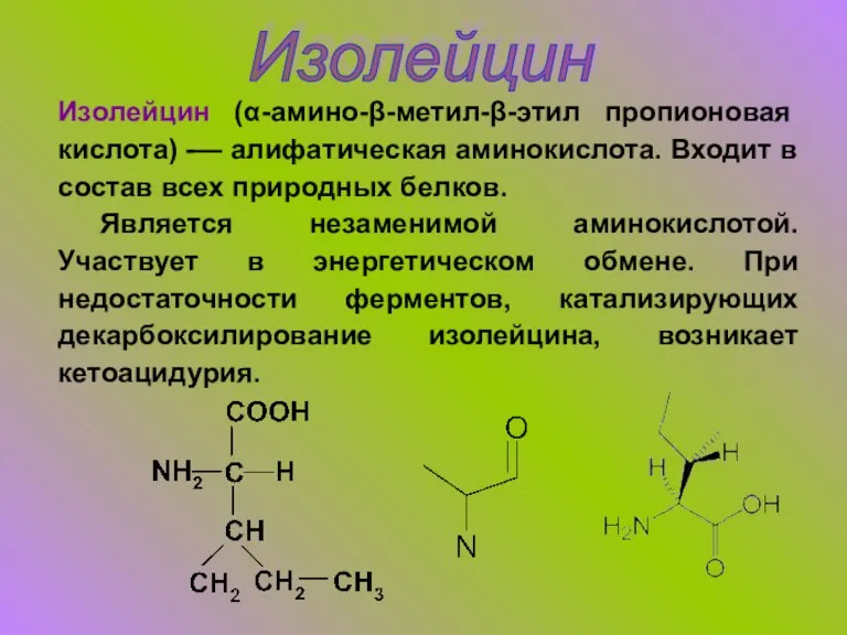 Изолейцин Изолейцин (α-амино-β-метил-β-этил пропионовая кислота) -— алифатическая аминокислота. Входит в состав всех