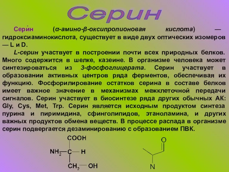 Серин Сери́н (α-амино-β-оксипропионовая кислота) — гидроксиаминокислота, существует в виде двух оптических изомеров