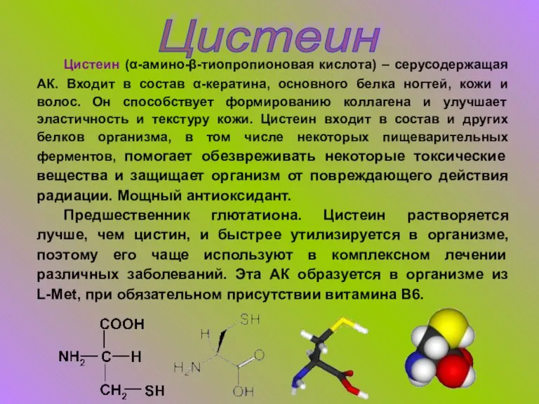 Цистеин Цистеин (α-амино-β-тиопропионовая кислота) – серусодержащая АК. Входит в состав α-кератина, основного