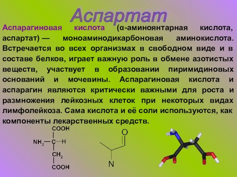 Аспартат Аспарагиновая кислота (α-аминоянтарная кислота, аспартат) — моноаминодикарбоновая аминокислота. Встречается во всех