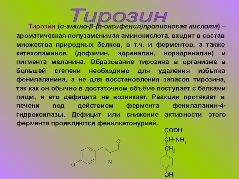 Тирозин Тирози́н (α-амино-β-(п-оксифенил)пропионовая кислота) – ароматическая полузаменимая аминокислота. входит в состав множества