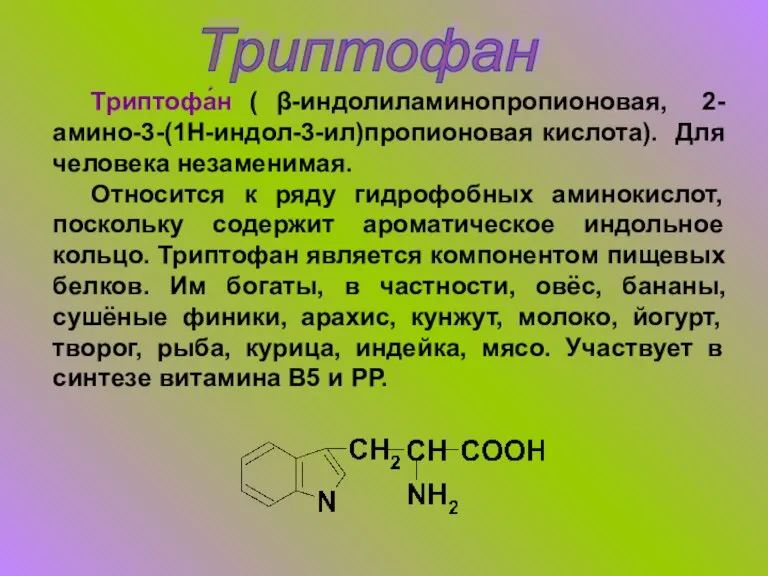 Триптофан Триптофа́н ( β-индолиламинопропионовая, 2-амино-3-(1H-индол-3-ил)пропионовая кислота). Для человека незаменимая. Относится к ряду