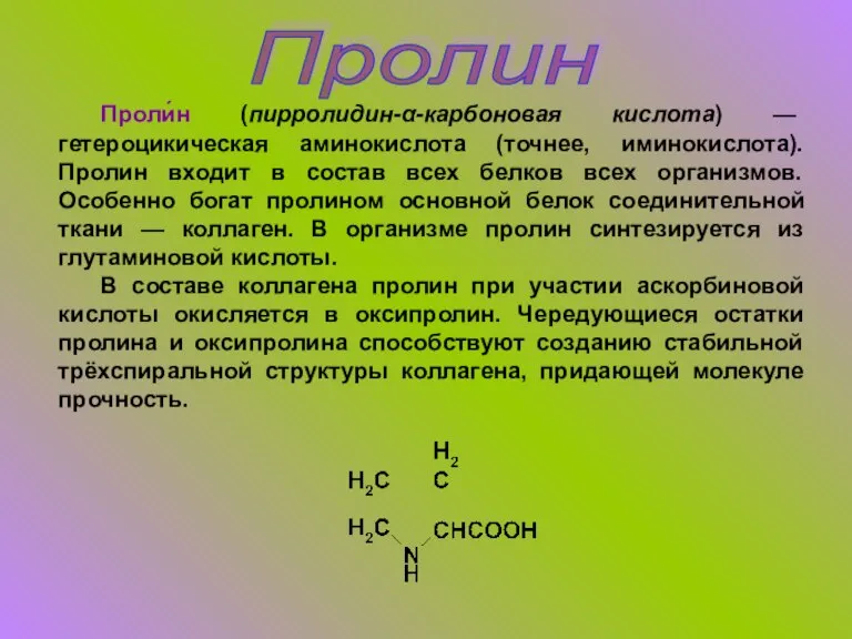 Пролин Проли́н (пирролидин-α-карбоновая кислота) — гетероцикическая аминокислота (точнее, иминокислота). Пролин входит в