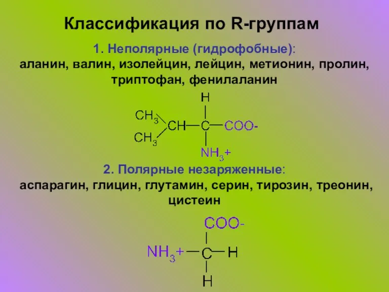 Классификация по R-группам 1. Неполярные (гидрофобные): аланин, валин, изолейцин, лейцин, метионин, пролин,