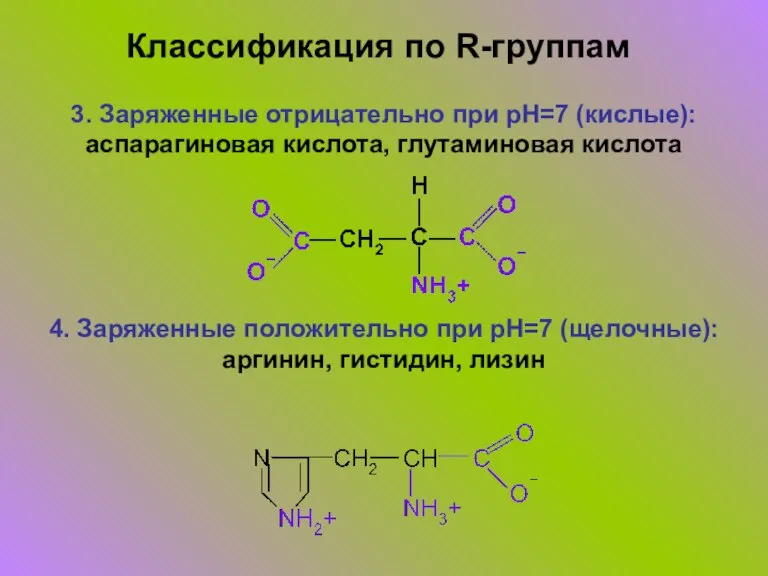 3. Заряженные отрицательно при pH=7 (кислые): аспарагиновая кислота, глутаминовая кислота 4. Заряженные