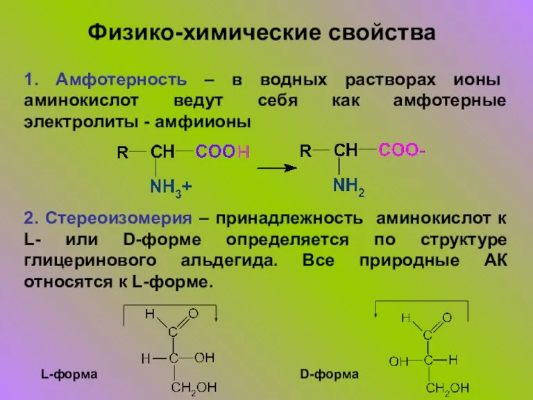 1. Амфотерность – в водных растворах ионы аминокислот ведут себя как амфотерные