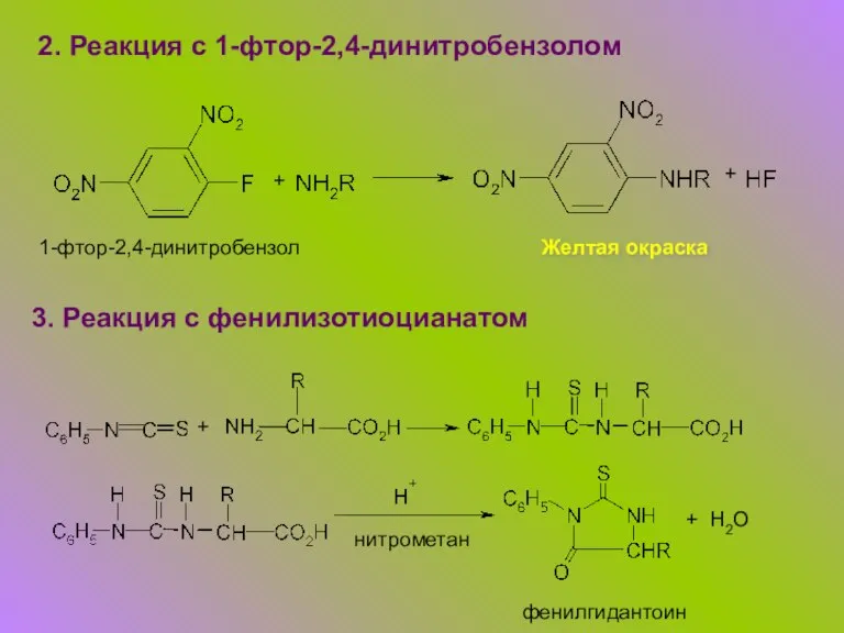 2. Реакция с 1-фтор-2,4-динитробензолом + + 1-фтор-2,4-динитробензол Желтая окраска 3. Реакция с