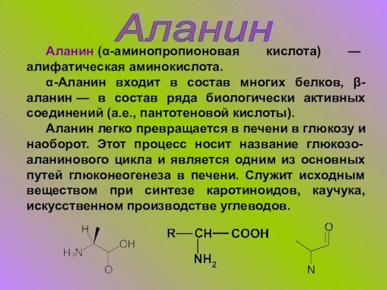 Аланин Аланин (α-аминопропионовая кислота) — алифатическая аминокислота. α-Аланин входит в состав многих