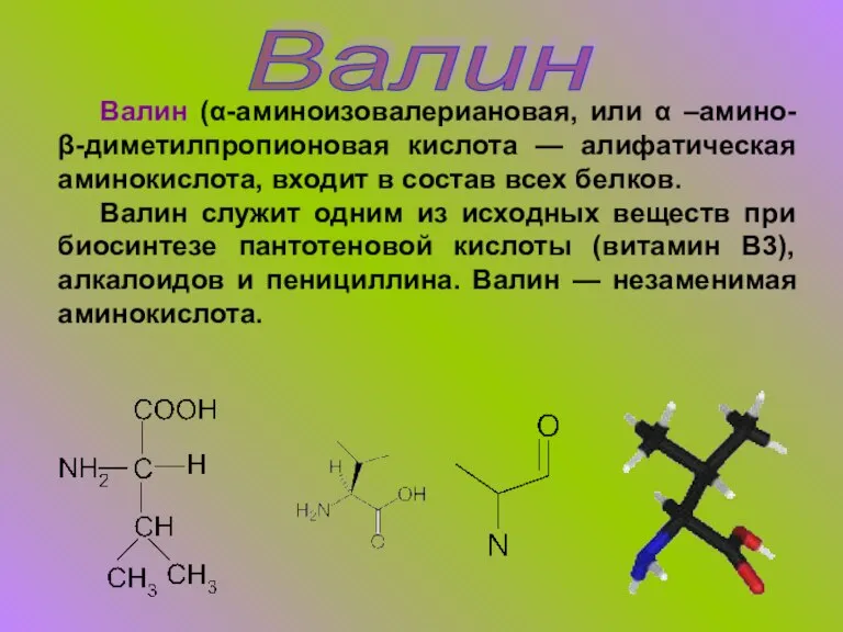 Валин Валин (α-аминоизовалериановая, или α –амино-β-диметилпропионовая кислота — алифатическая аминокислота, входит в