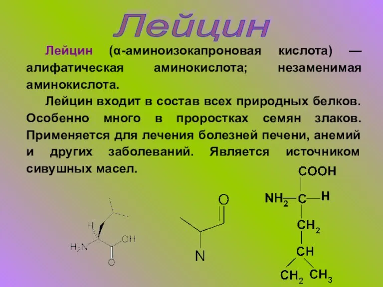Лейцин Лейцин (α-аминоизокапроновая кислота) — алифатическая аминокислота; незаменимая аминокислота. Лейцин входит в
