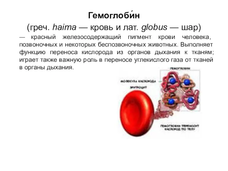 Гемоглоби́н (греч. haima — кровь и лат. globus — шар) — красный