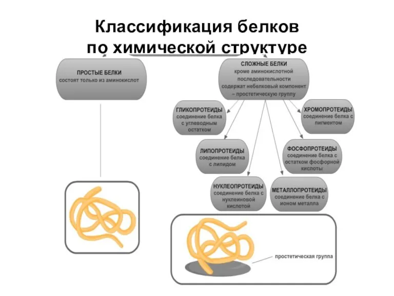 Классификация белков по химической структуре