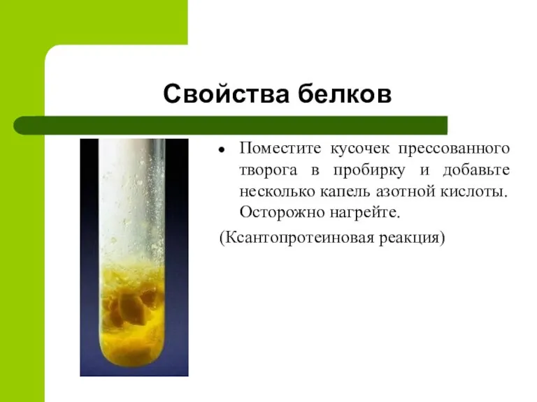 Свойства белков Поместите кусочек прессованного творога в пробирку и добавьте несколько капель