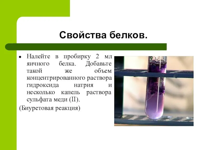 Свойства белков. Налейте в пробирку 2 мл яичного белка. Добавьте такой же