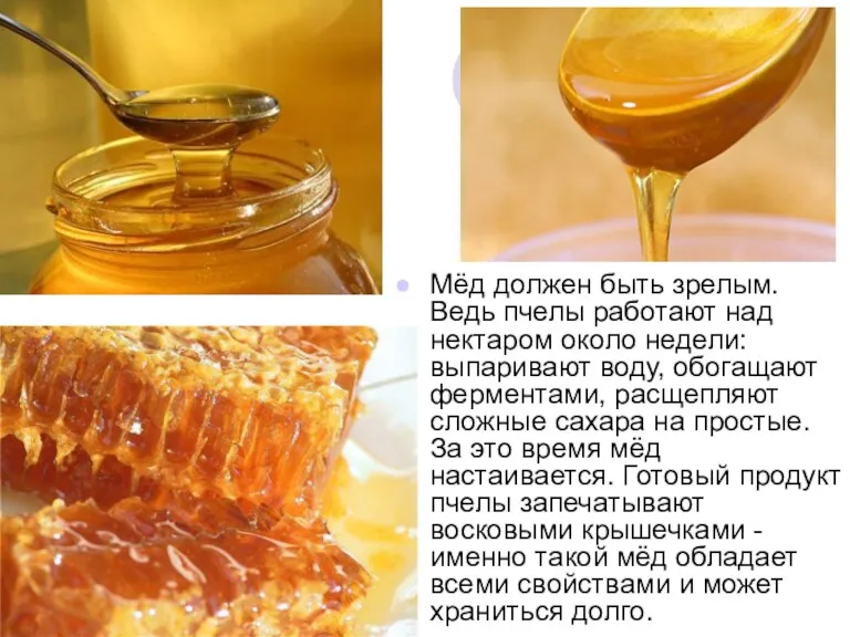 Мёд должен быть зрелым. Ведь пчелы работают над нектаром около недели: выпаривают