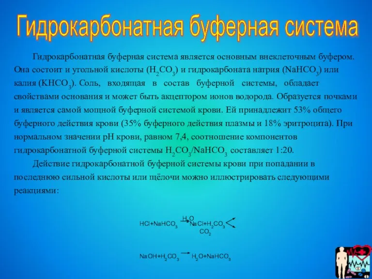 Гидрокарбонатная буферная система является основным внеклеточным буфером. Она состоит и угольной кислоты