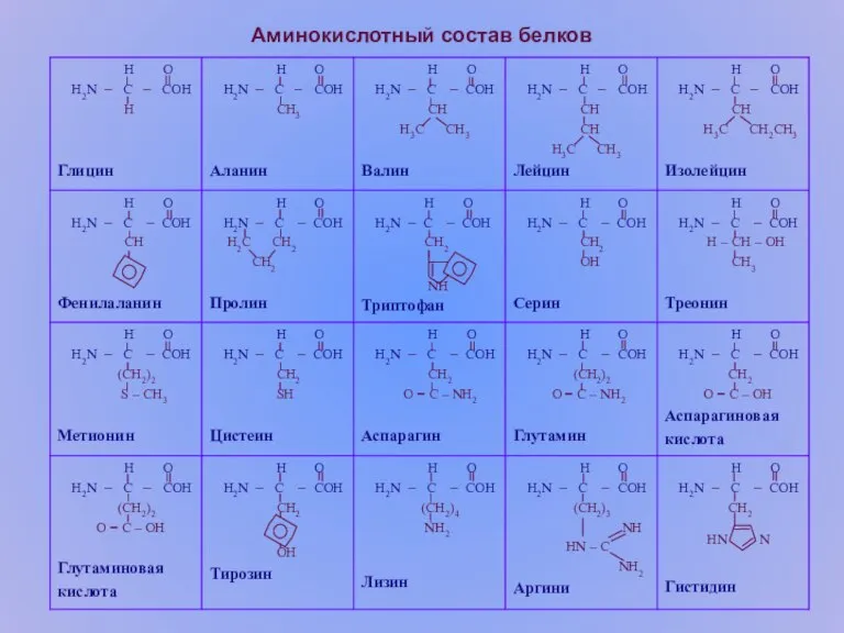 Аминокислотный состав белков