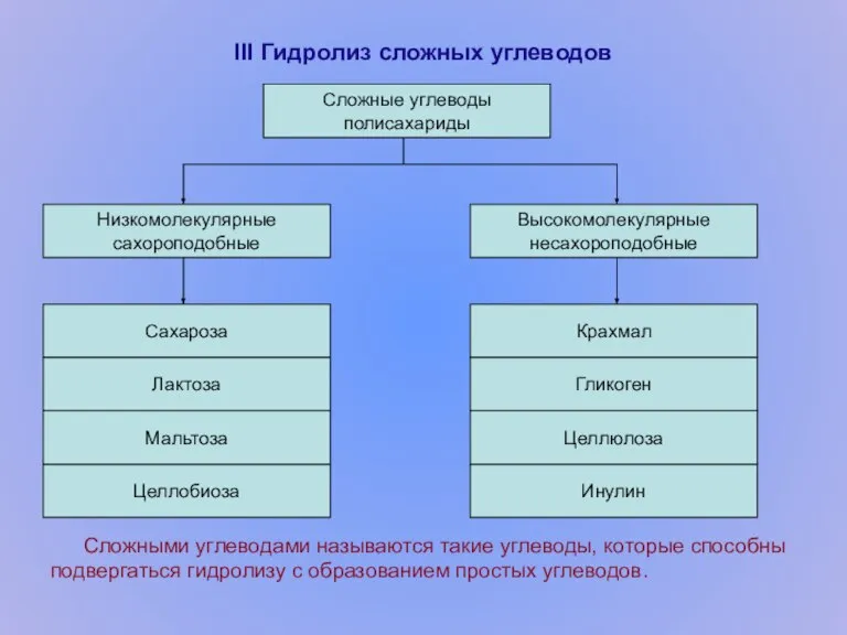 III Гидролиз сложных углеводов Сложными углеводами называются такие углеводы, которые способны подвергаться