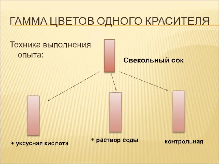 ГАММА ЦВЕТОВ ОДНОГО КРАСИТЕЛЯ Техника выполнения опыта: Свекольный сок + уксусная кислота + раствор соды контрольная