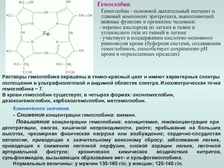 Гемоглобин Гемоглобин - основной дыхательный пигмент и главный компонент эритроцита, выполняющий важные