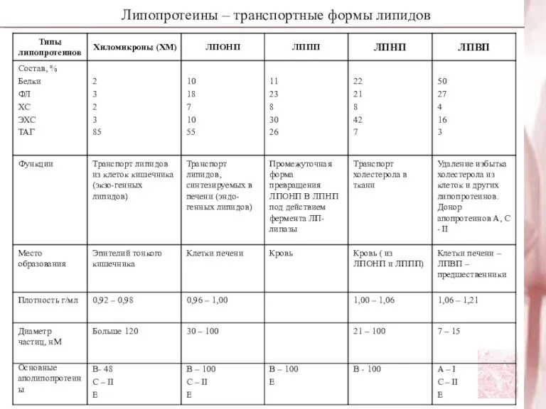 Липопротеины – транспортные формы липидов