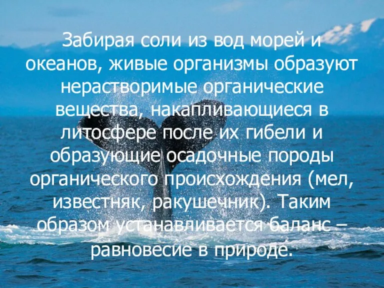 Забирая соли из вод морей и океанов, живые организмы образуют нерастворимые органические