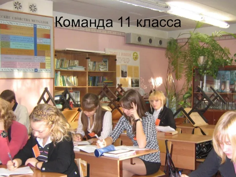 Команда 11 класса