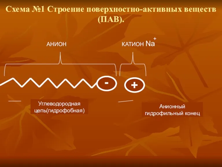 Схема №1 Строение поверхностно-активных веществ(ПАВ). - + АНИОН КАТИОН Na + Углеводородная цепь(гидрофобная) Анионный гидрофильный конец