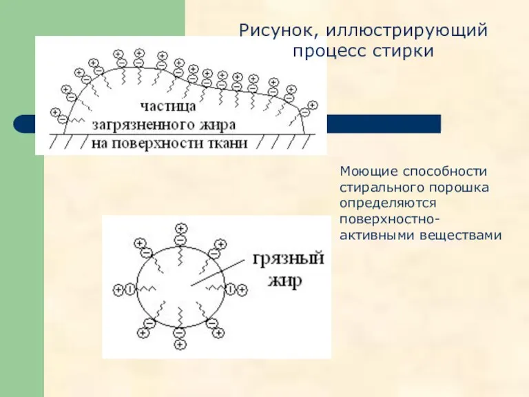 Моющие способности стирального порошка определяются поверхностно-активными веществами Рисунок, иллюстрирующий процесс стирки