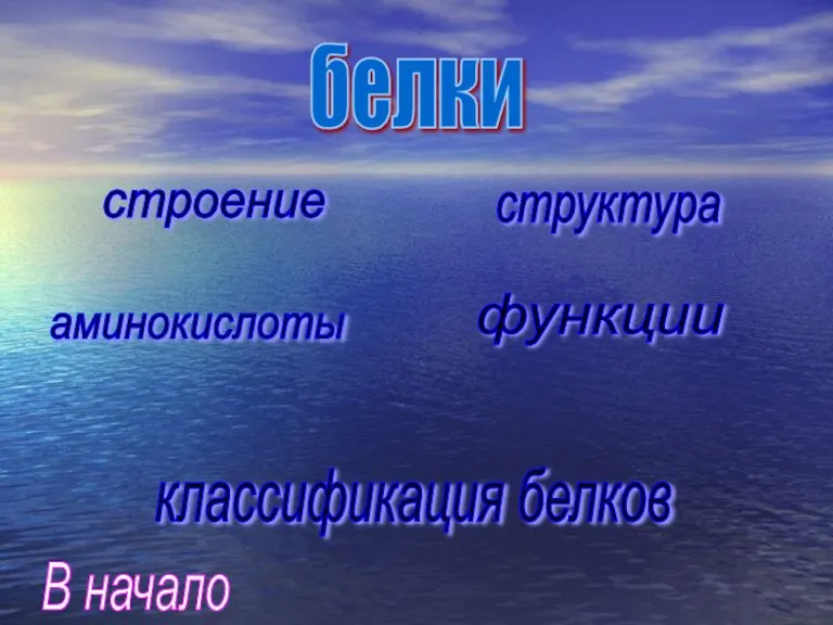 белки строение структура функции аминокислоты классификация белков В начало