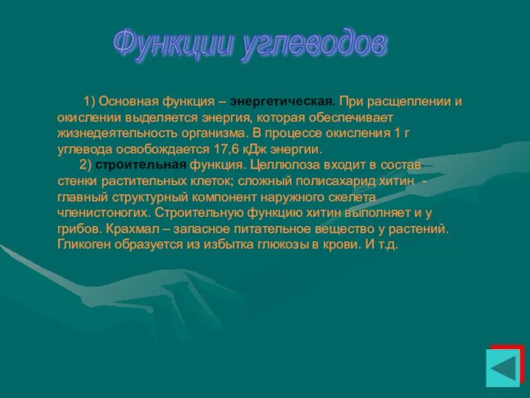 Функции углеводов 1) Основная функция – энергетическая. При расщеплении и окислении выделяется