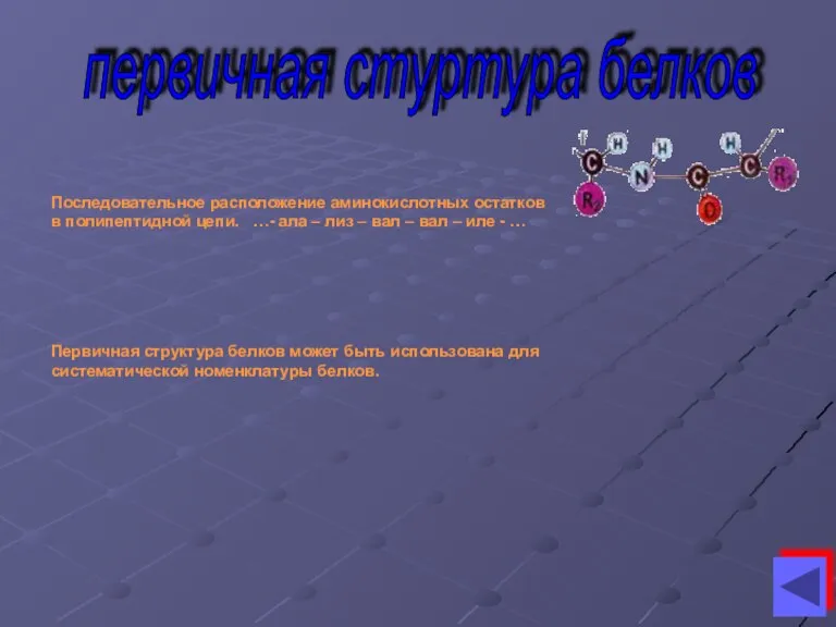 первичная стуртура белков Последовательное расположение аминокислотных остатков в полипептидной цепи. …- ала