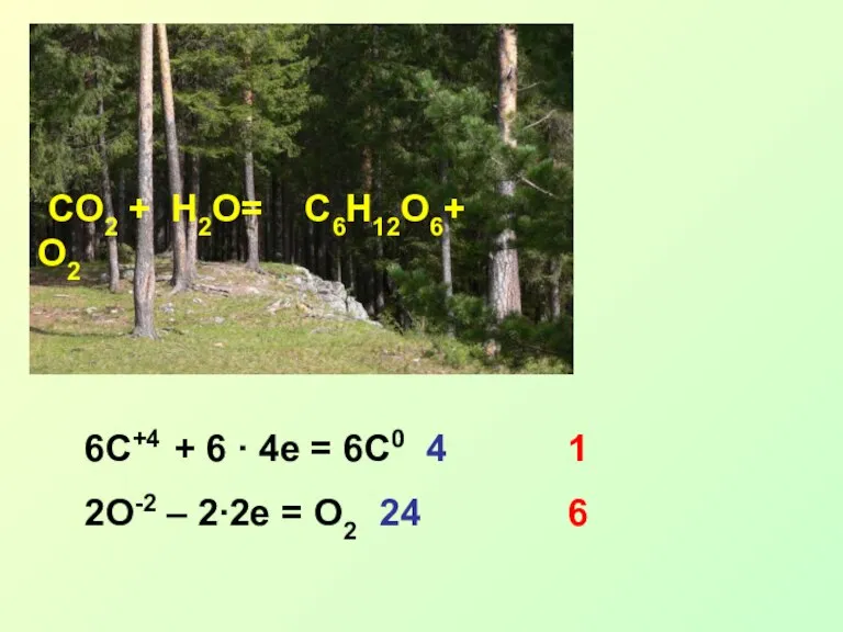 CO2 + H2O= C6H12O6+ O2 6C+4 + 6 ∙ 4e = 6C0