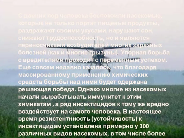 С давних пор человека беспокоили насекомые, которые не только портят пищевые продукты,