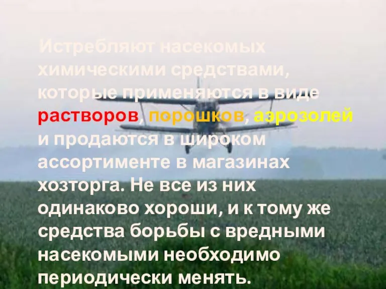 Истребляют насекомых химическими средствами, которые применяются в виде растворов, порошков, аэрозолей и