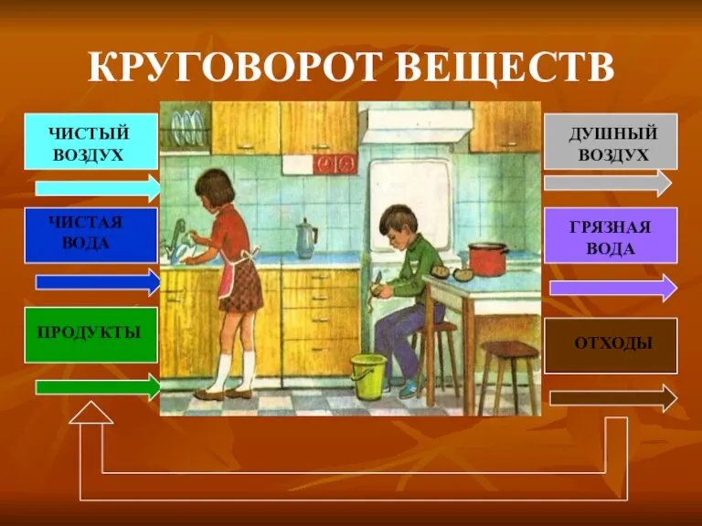 КРУГОВОРОТ ВЕЩЕСТВ ЧИСТЫЙ ВОЗДУХ ЧИСТАЯ ВОДА ПРОДУКТЫ ДУШНЫЙ ВОЗДУХ ГРЯЗНАЯ ВОДА ОТХОДЫ