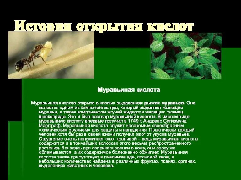 История открытия кислот Муравьиная кислота Муравьиная кислота открыта в кислых выделениях рыжих