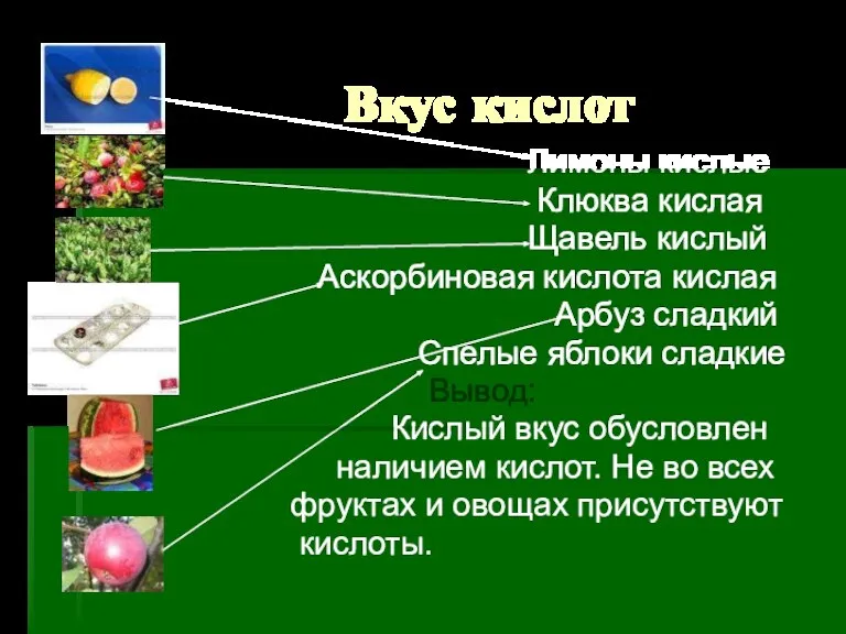 Вкус кислот Лимоны кислые Клюква кислая Щавель кислый Аскорбиновая кислота кислая Арбуз