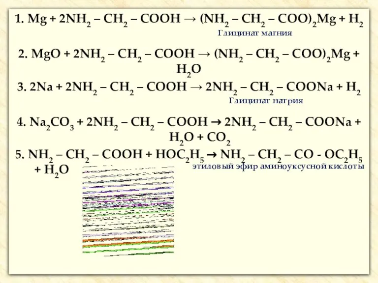 1. Mg + 2NH2 – CH2 – COOH → (NH2 – CH2