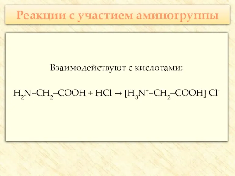 Реакции с участием аминогруппы Взаимодействуют с кислотами: H2N–CH2–COOH + HCl → [H3N+–CH2–COOH] Cl-