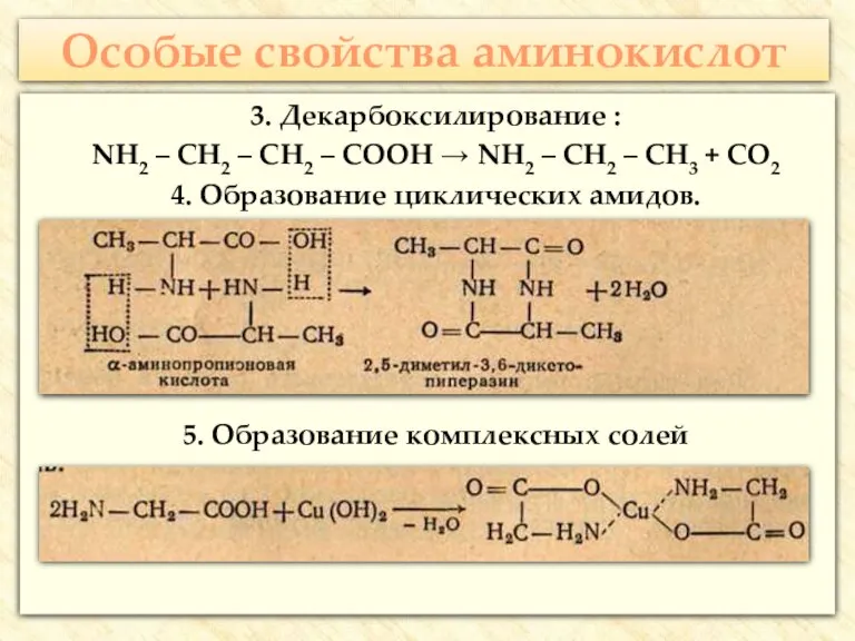 Особые свойства аминокислот 3. Декарбоксилирование : NH2 – CH2 – CH2 –