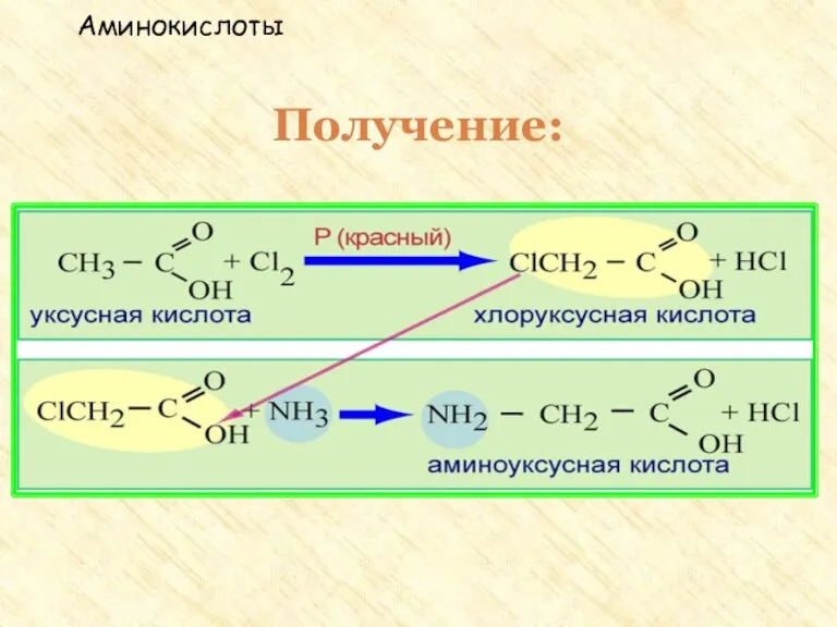 Получение: 1. Гидролиз белков. Белок – полимер под действием воды распадается на мономеры - аминокислоты Аминокислоты