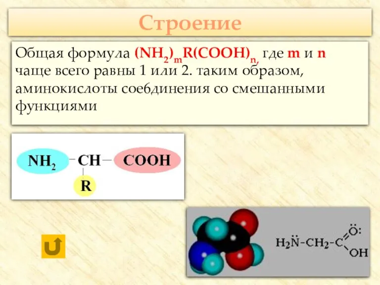 Строение Общая формула (NH2)mR(COOH)n, где m и n чаще всего равны 1